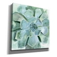 thumbnail image 2 of Epic Graffiti 'Verdant Succulent III' by Victoria Borges, Canvas Wall Art, 37"x37", 2 of 2