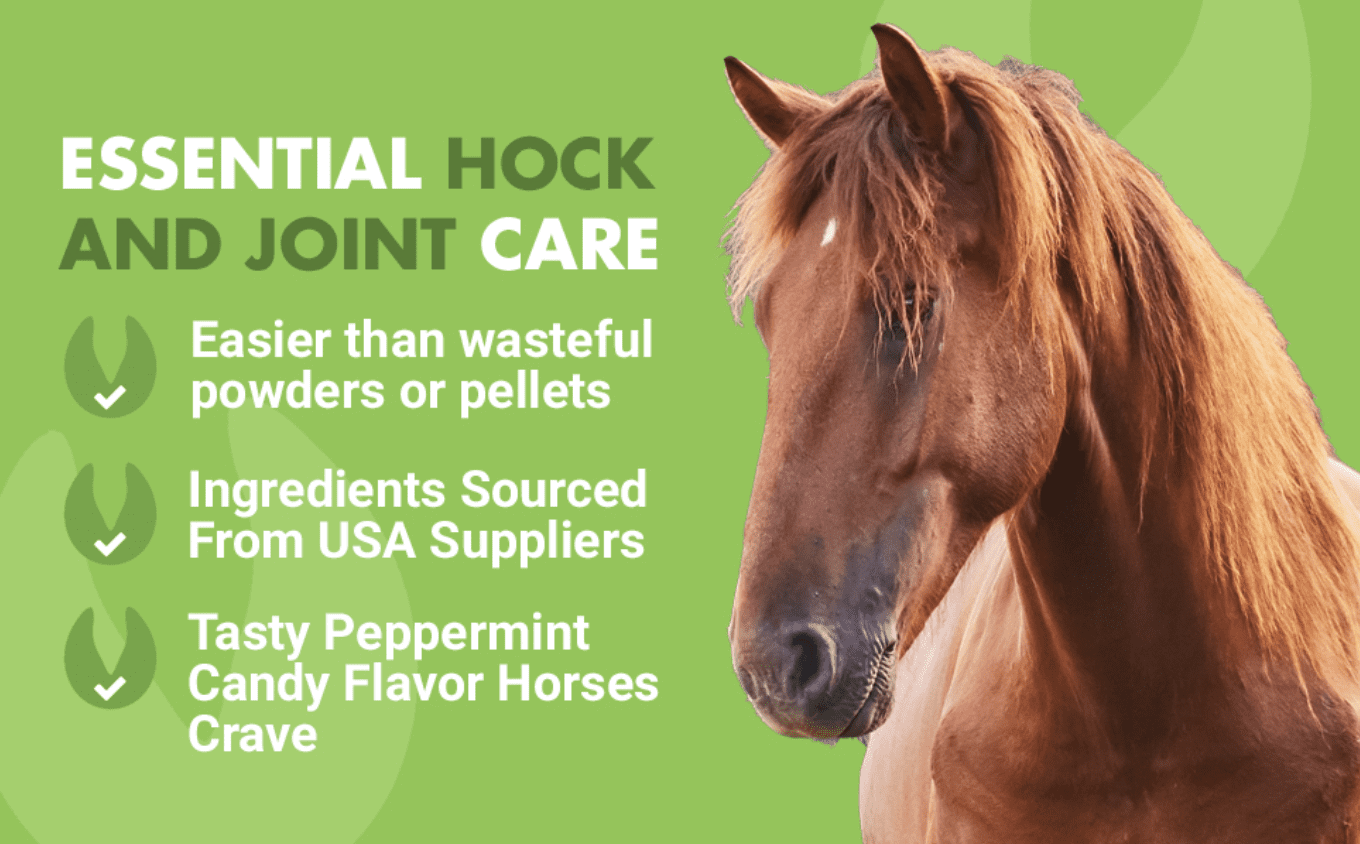 Liquid-Vet Hock & Joint Support Supplement for Horses, Max Strength Glucosamine, MSM, Hyaluronic Acid, Liquid, Peppermint Flavor