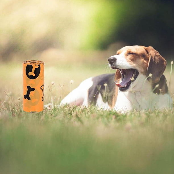 Bolsas de caca de Perro respetuosas medio Colco Bolsas biodegradables para perros Naranja 8 Naranja 8Roll Bolsas para desechos de caca