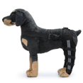 thumbnail image 2 of Double Rear Leg Protection Dog Knee Brace For Acl Knee Cap Dislocation Arthritis Keeps The Joint Warm Extra Support, 2 of 5