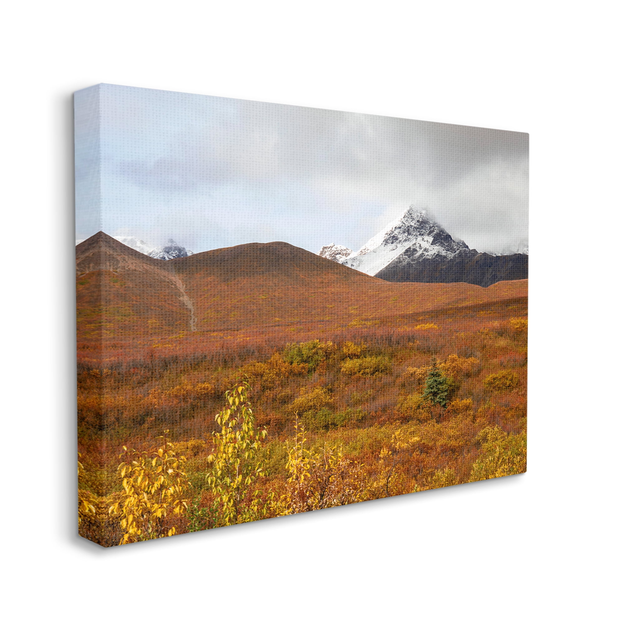 Stupell Industries Meadow with Distant Peak Landscape Photography Gallery Wrapped Canvas Art Print Wall Art, 20 x 16