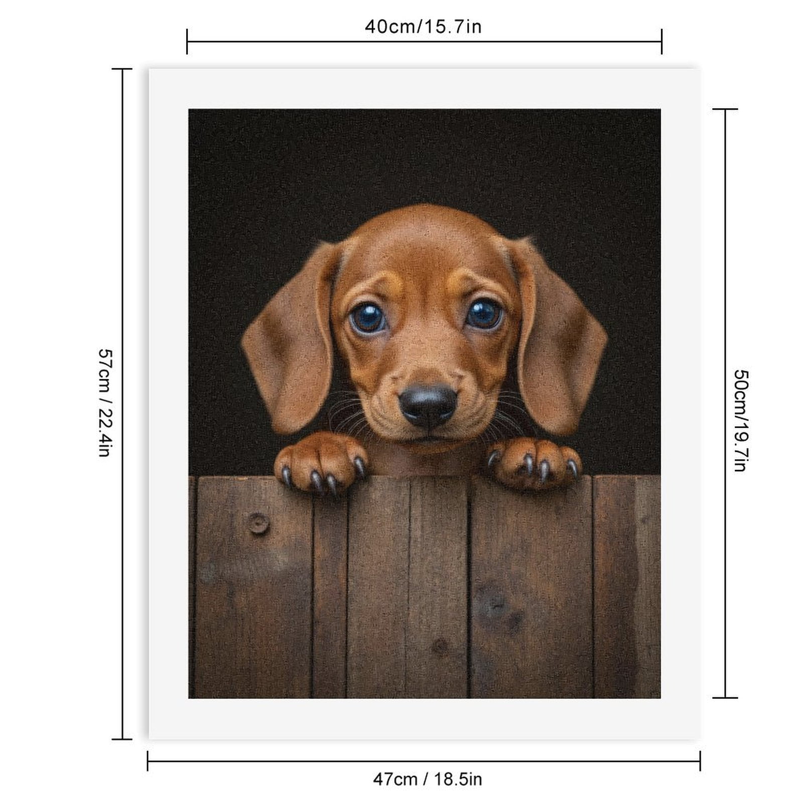 Paint by Numbers Kit for Adults, Adorable Puppy Peeking Over Fence Paint by Numbers, Easy Paint by Numbers Kit for Adults Beginner, DIY Adult Paint by Number Kits on Canvas, Home Decor