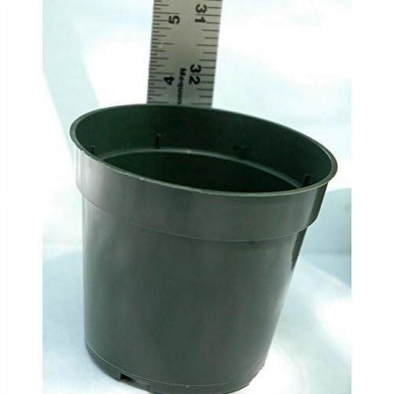 Plastic Pots for Plants, Cuttings & Seedlings, 4-Inch, 30-Pack Plastic Pots for Plants, Cuttings & Seedlings, 4-Inch, 30-Pack