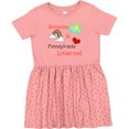 thumbnail image 3 of Inktastic Someone in Pennsylvania Loves Me Girls Toddler Dress, 3 of 5