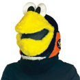 thumbnail image 1 of Rasta Imposta GC567 Iceburgh Pittsburgh Penguins Mascot Head, 1 of 1