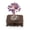Amethyst, variant on Handmade Medium Crystal Feng Shui Tree, Crystal Tree of Life