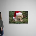 thumbnail image 2 of Great BIG Canvas Holiday Photography, 2 of 7