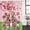 White Bright Red Grass Green, variant on Valentine's Day Shower Curtain Set - Small 36" x 72" Washable Bathtub Curtain with 12 Hooks, Watercolor Funny Dogs Love Roses Spring Pink Waterproof Fabric Stall Shower Curtains for Bathroom Décor