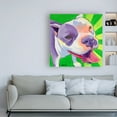thumbnail image 3 of Trademark Fine Art 'Cupcake Color Rays' Canvas Art by DawgArt, 3 of 3