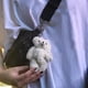 thumbnail image 4 of Colgante oso llavero colgante forma linda pequeño exquisito cómodo muñeco de peluche juguete para bolso de escuela ANGGREK  Otros, 4 of 5