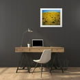 thumbnail image 3 of Talbot Frank, Christopher 17x15 White Modern Wood Framed Museum Art Print Titled - CA, Cleveland NF Flowers after the Cedar Fire, 3 of 4