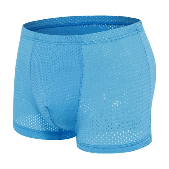 DJDLJWCJ Men's Boxer Briefs Underwear, Mens Underwear Boxer Briefs Ice Silk Mesh Transparent Breathable Mid Waist Underpant Light Blue M