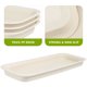 thumbnail image 5 of FOLOYORI 3Ud Bandejas Para Macetas De Jardín Con Material Plástico Resistente, 5 of 6