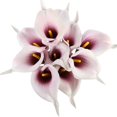 thumbnail image 4 of EIMELI 20 Pack 14” Tall Artificial Calla Lily Flowers Real Touch Single Stem Lilies, 4 of 4