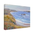 thumbnail image 2 of Tim O'Toole 'Along the Coast I' Canvas Art, 2 of 4