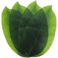 thumbnail image 1 of 4pcs Artificial Banana Leaves Faux Leaves Party Decorative Leaves, 1 of 9