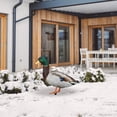 thumbnail image 5 of Acrylic Duck Yard Ornaments - Double-Sided Garden Stake Decorations, Ground Insert Animal Sculpture Statue for Lawn, Patio, Farmhouse Outdoor Yard Art & Garden Decor, 5 of 6