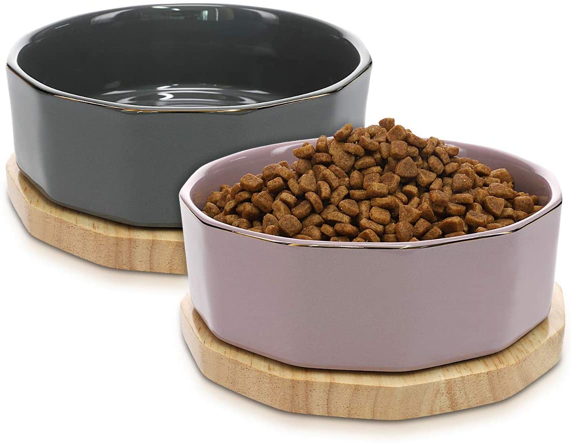 Are Ceramic Bowls Good For Dogs Are Ceramic Bowls Good For Dogs