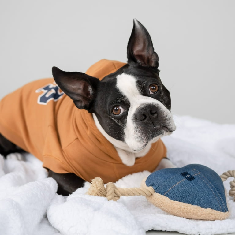 Dog gap logo hoodie hotsell