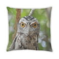 thumbnail image 2 of Ahgly Company Animals Owl Outdoor Throw Pillow, 18 inch by 18 inch, 2 of 6