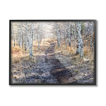 Stupell Industries Dirt Path Between Birch Tree Forest Woodland Scene Photograph Black Framed Art Print Wall Art, Design by Steve Smith