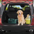 thumbnail image 3 of RVNI Floor Mats for 20-23 Tesla Model Y 7 Seats TPE All Weather, 3 of 5