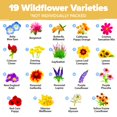 thumbnail image 2 of HOME GROWN Wildflower Seeds (3oz) 89,000+ MVR1&nbsp;Flower Seed No Filler | 19 Varieties, USA-Sourced Bulk Wild Flowers Seeds for Planting, Butterfly & Pollinator Perennial and Annual Wild Flower Mix, 2 of 3