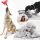 thumbnail image 4 of el perro determinado de la felpa del juguete del animal doméstico 12pcs juega los juguetes pequeños y medianos del perro del acompañamiento sano, 4 of 5