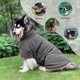 thumbnail image 5 of Toalla para perros, material de microfibra, secado rápido, bata de baño súper absorbente para perros, mascota con cuello y cintura ajustables (gris) L, 5 of 6