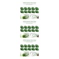 thumbnail image 4 of Advancent 10 Pieces Climbing Plant Support Drill-free Snap Holder Leaf Indoor Wall Garden Hook Clip Self-adhesive Fixture Invisible Type1 NO1, 4 of 6