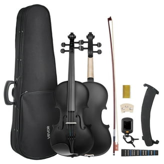 Eastar 4/4 Violin Set, Solidwood Full Size Fiddle, Spruce Top