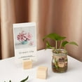 thumbnail image 4 of 20Pcs Wooden Name Card Holder Wooden Table Number Stands Solid Wood, 4 of 7