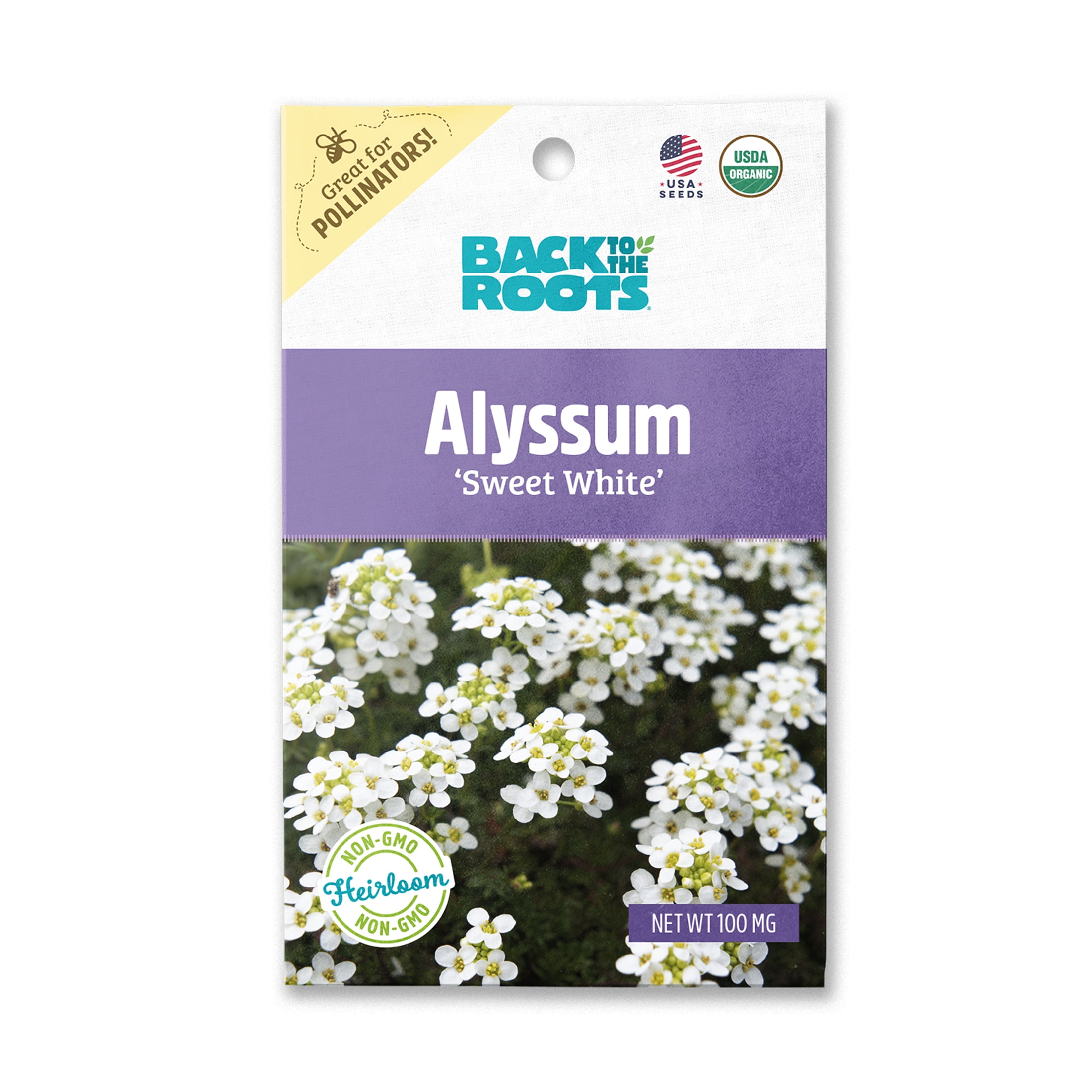 Back to the Roots Organic Sweet White Alyssum Flower Seeds, 1 Packet