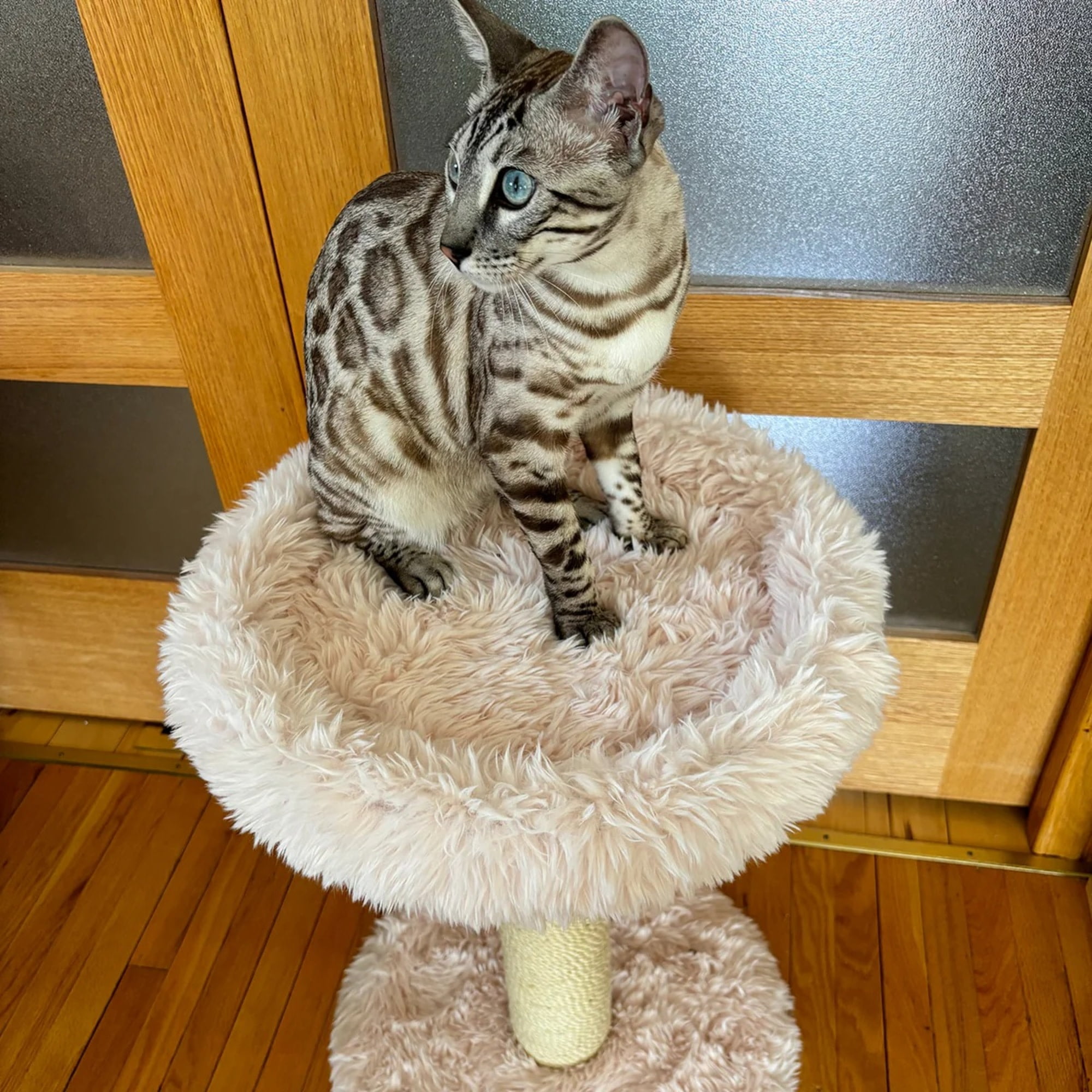 Noba: Classic Cat Tree - Blush Dusty Pink - 1-Level Round Perch, Cozy Faux Fur, Scratchable Rope Post, Climb-Play-Sleep, Animal Pet Lounge, 16 x 24"