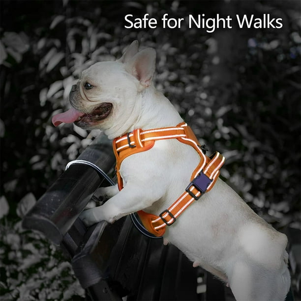 Anti choke dog harness sale
