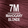 7M Mahogany Blonde