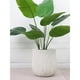 thumbnail image 3 of Macetas de 11,8 pulgadas for plantas de interior, maceta grande con orificios de drenaje for plantas de jardín de interior y exterior (marrón/blanco), 3 of 4