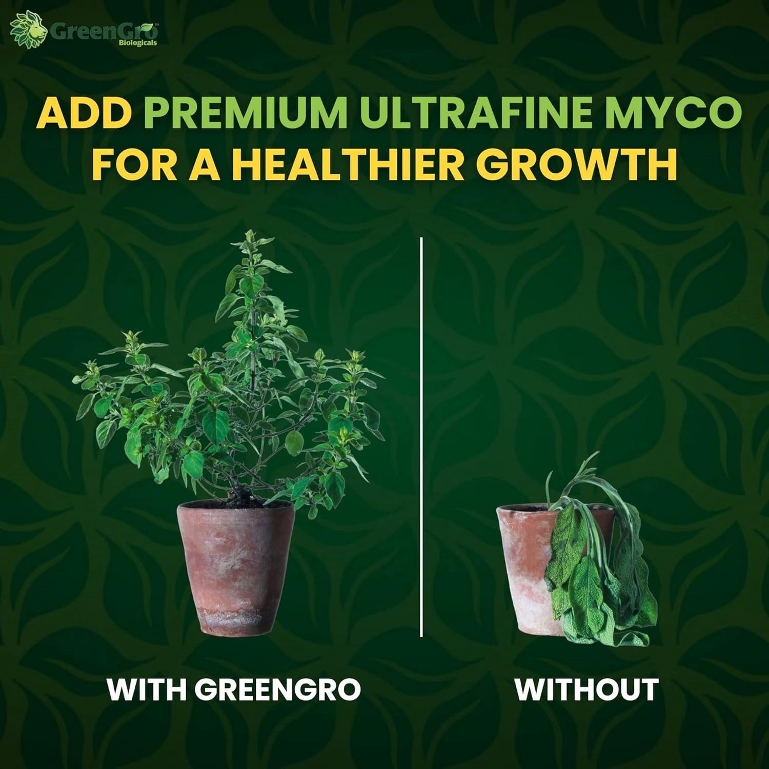 Premium Ultrafine Mycorrhizae - Boosts Health & Development of Your Plants - 4 oz Jar by GreenGro