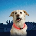 thumbnail image 2 of NITE IZE Nitehowl LED Safety Necklace - Red, 2 of 6