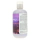 Shampooing Blond Sunset Blvd de R+Co pour Shampooing Unisexe - 8.5 oz – image 4 sur 8