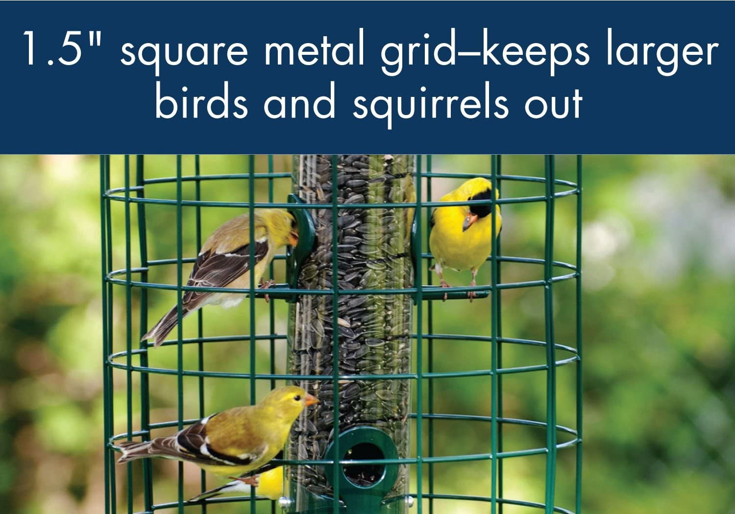 WoodLink Squirrel Proof Caged 6 Port Tube Bird Feeder with Green Finish