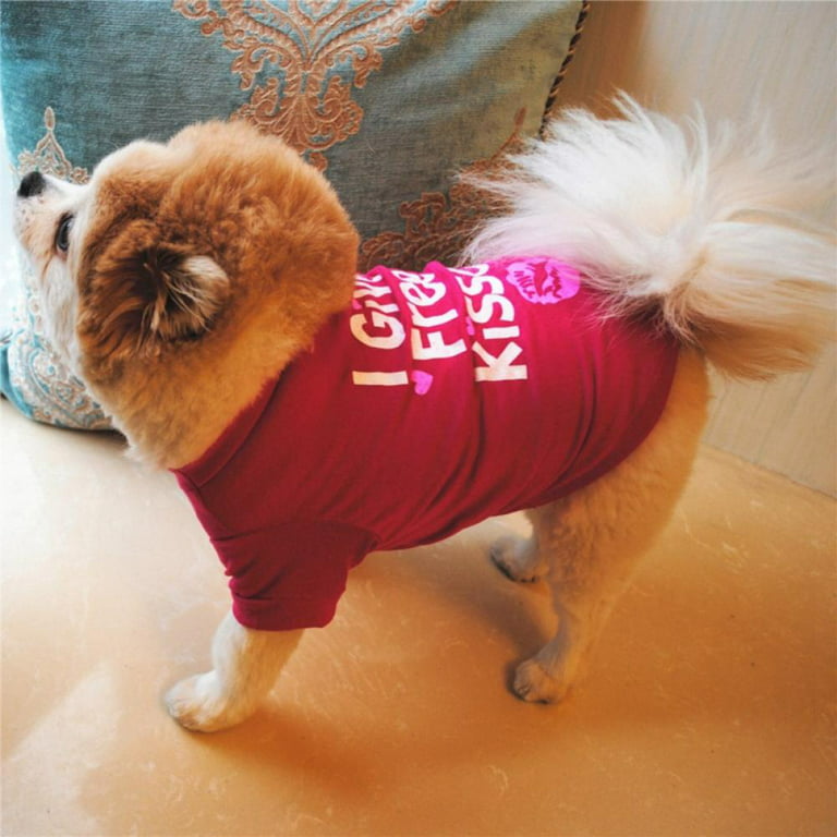 Dog Shirts for Medium Dogs Girl - Girl Puppy Clothes - Pet Clothes for  Medium Dogs- Dog Clothing - Clothes for Shih Tzu Pomeranian French Bulldog  Dachshund - Small Girl Dog Clothes