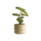 thumbnail image 2 of Plantas Artificiales De Plástico En Maceta 1 planta artificial verde en maceta, bonsái falso para decoración de escritorio en el hogar u oficina, adorno de vegetación para interiores. Rkxzt, 2 of 9