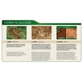 thumbnail image 2 of Scotts EZ Seed Sun & Shade, 10 Pound Bag, 2 of 3