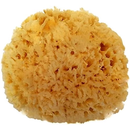 Natural Sea Wool Sponge 5-6  Natural Renewable Resource Bath & Shower