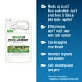thumbnail image 3 of Liquid Fence Deer and Rabbit Repellent, Ready-to-Use Spray, 1 Gallon, 3 of 12