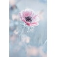 thumbnail image 2 of Bravin, Fabien 17x24 White Modern Wood Framed Museum Art Print Titled - La Reine De Neiges, 2 of 4