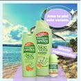 thumbnail image 6 of Instituto Espanol Rollon Bottle 75ml Deodorant with Aloe Vera Unisex Deodarant and Antiperspirant For Sensitive Skin, 6 of 9