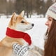 thumbnail image 2 of L Bufanda navideña para perro, gato, Papá Noel, bufanda tejida de invierno para perro, calentador de cuello de invierno para mascotas, disfraz con bola de pompón blanca, 2 of 5