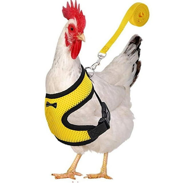 Pollo Ajustable Con Correa Chaleco De Mascota De Gallina Transpirable Con Cinturón A Juego De 3.6 Pies Cuerda De Tracción De Entrenamiento Al Aire Libre Para Mascotas Gallina Pato Ganso Yuarrent HA044941-31